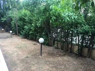 Photo 367546246