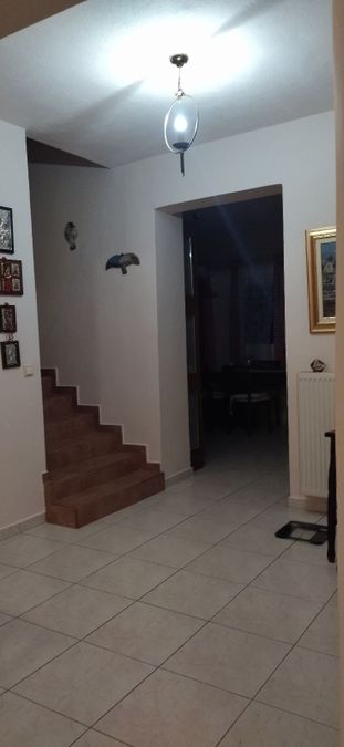 Photo 368357035