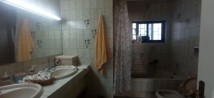 Photo 368929270