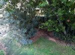 Photo 369325411