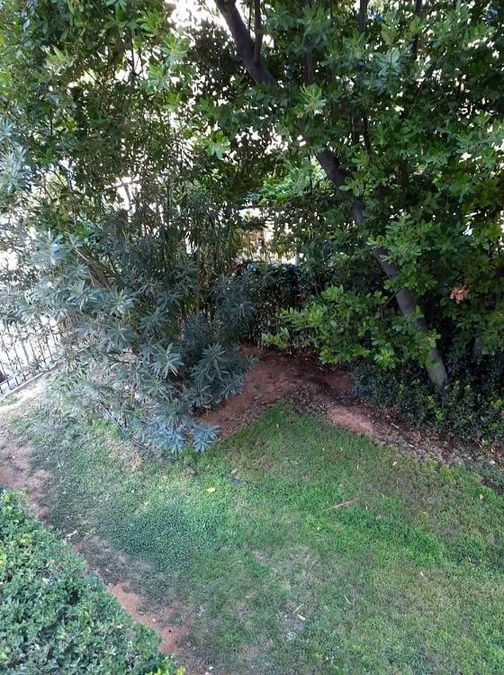 Photo 369325411