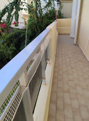 Photo 369576379