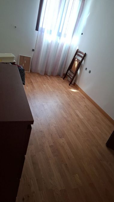 Photo 369709342