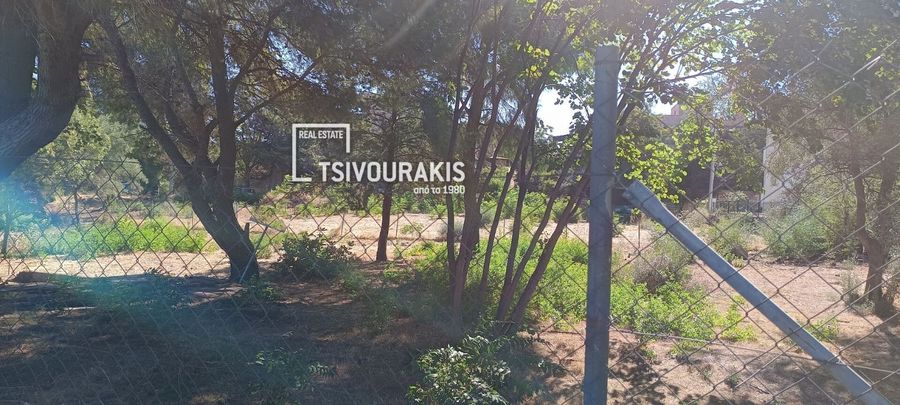 Photo 370073158