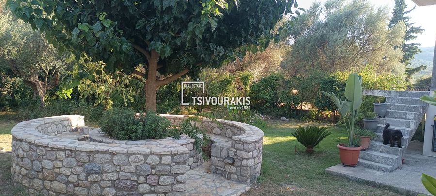 Photo 370315351