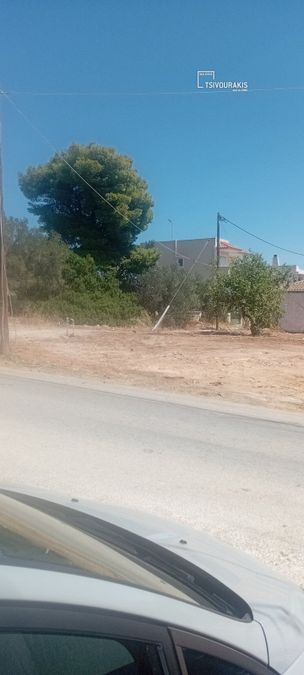 Photo 370867006