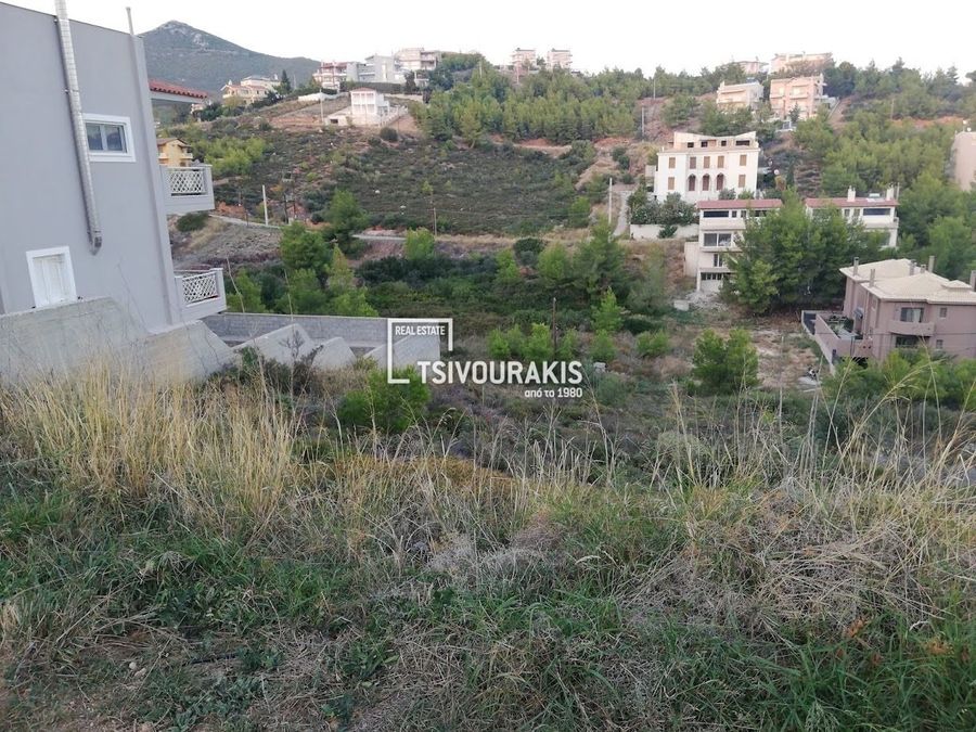 Photo 370868272