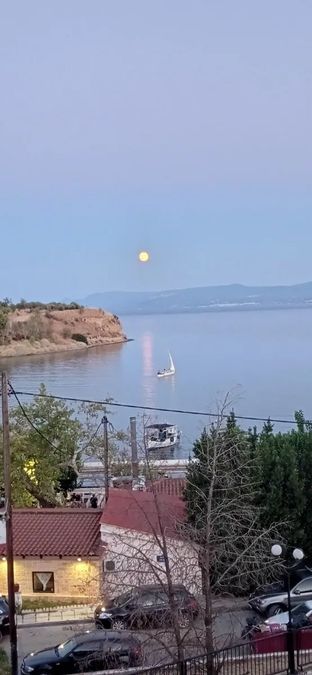 Photo 371074405