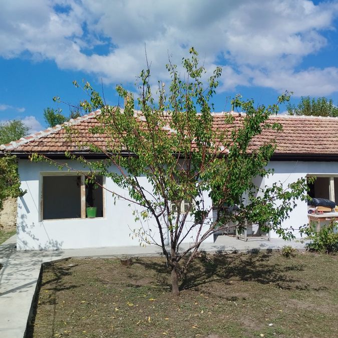 Снимка 371146339