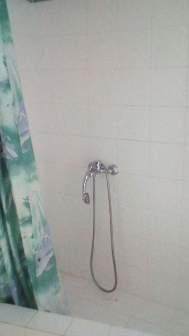 Photo 371398258