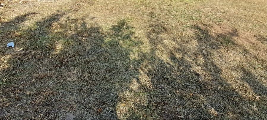 Photo 371996839