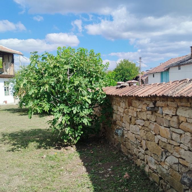 Снимка 372056413