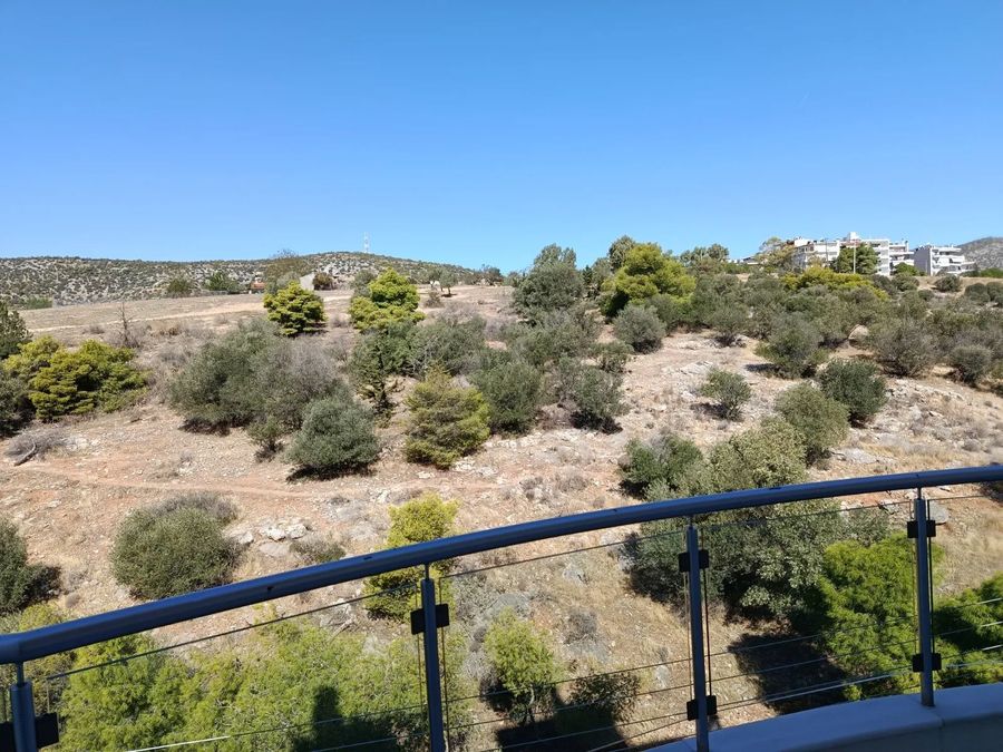 Photo 372127099