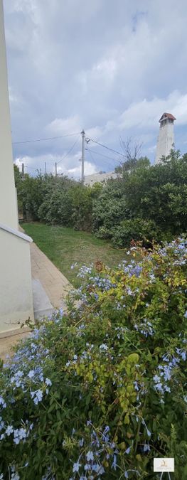 Photo 372257383