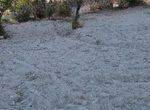 Photo 372278323