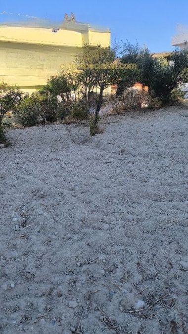 Photo 372278323