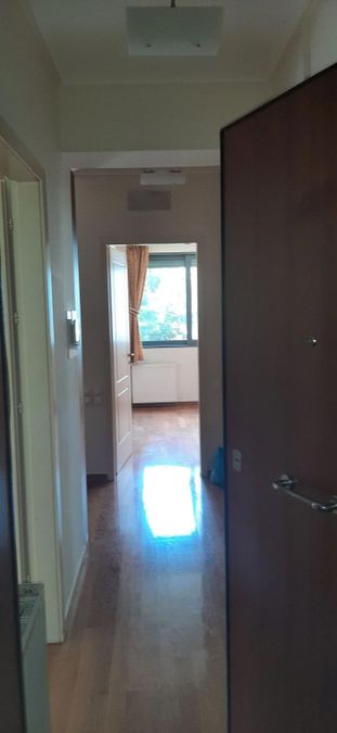 Photo 372394519