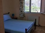 Photo 372706228