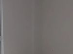 Photo 372733294