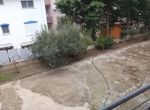 Photo 372798910