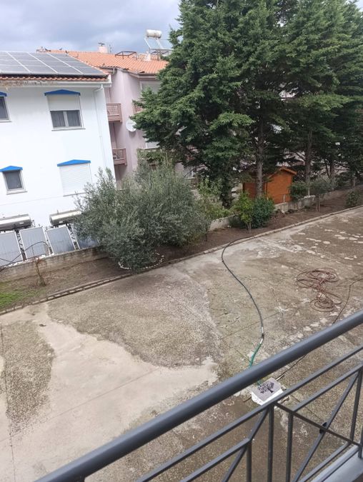 Photo 372798910