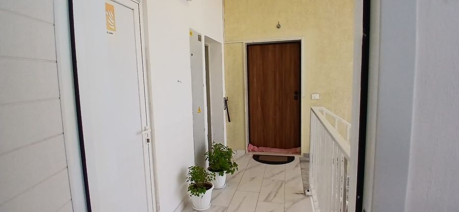 Foto 373571473