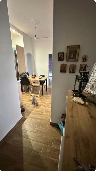 Photo 373843246