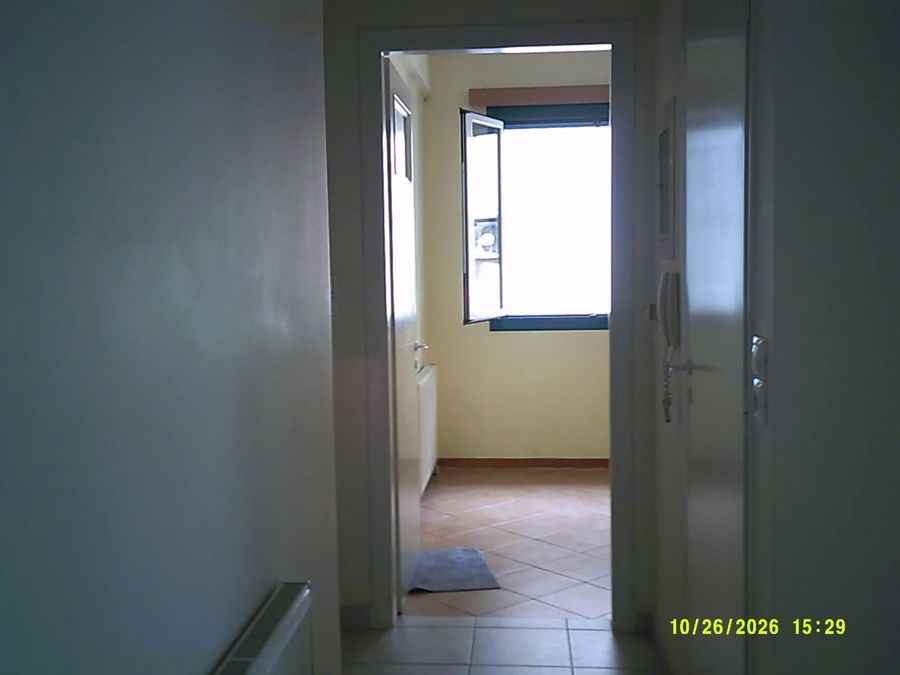 Photo 373972498