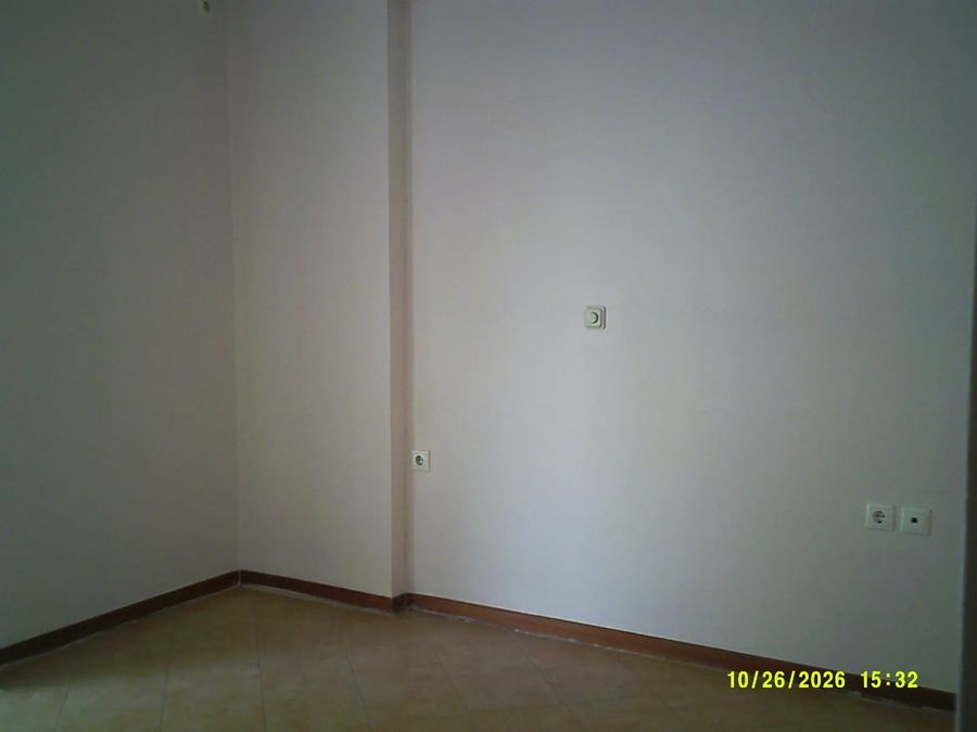 Photo 373972558