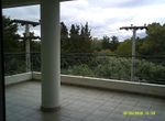Photo 373972597