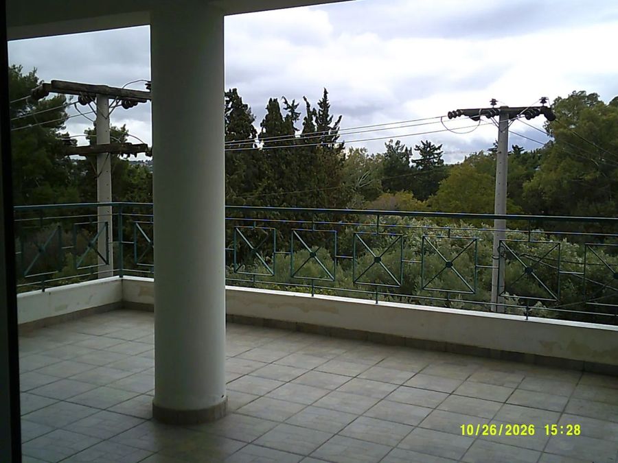 Photo 373972597