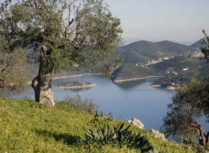 Πώληση, Οικόπεδο, Ιθάκη (Ν. Κεφαλονιάς)
