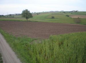 Parcel, Trilofo