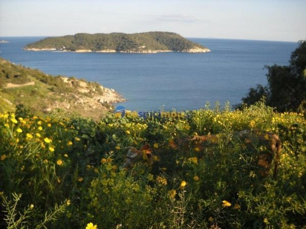 Spetses