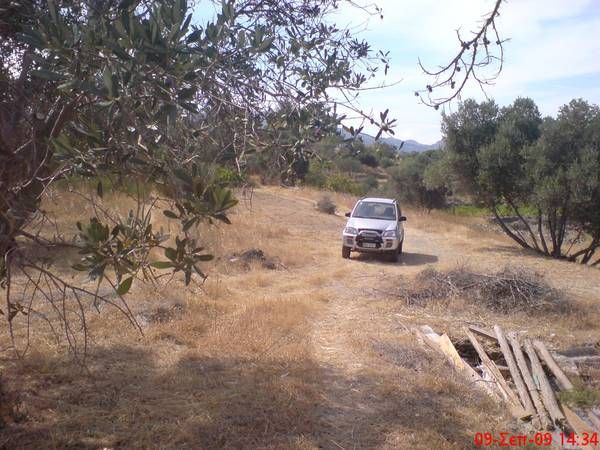 Photo 502702