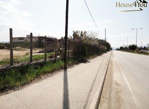 Αγροτεμάχιο προς πώληση Ιωάννινα 4.200 τ.μ.