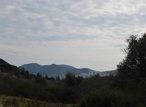 Αγροτεμάχιο, Νέα Ηρακλίτσα