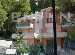 Μονοκατοικία για ενοικίαση Διόνυσος 500 τ.μ. 6 Υπνοδωμάτια