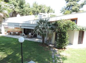 Detached House, Sani
