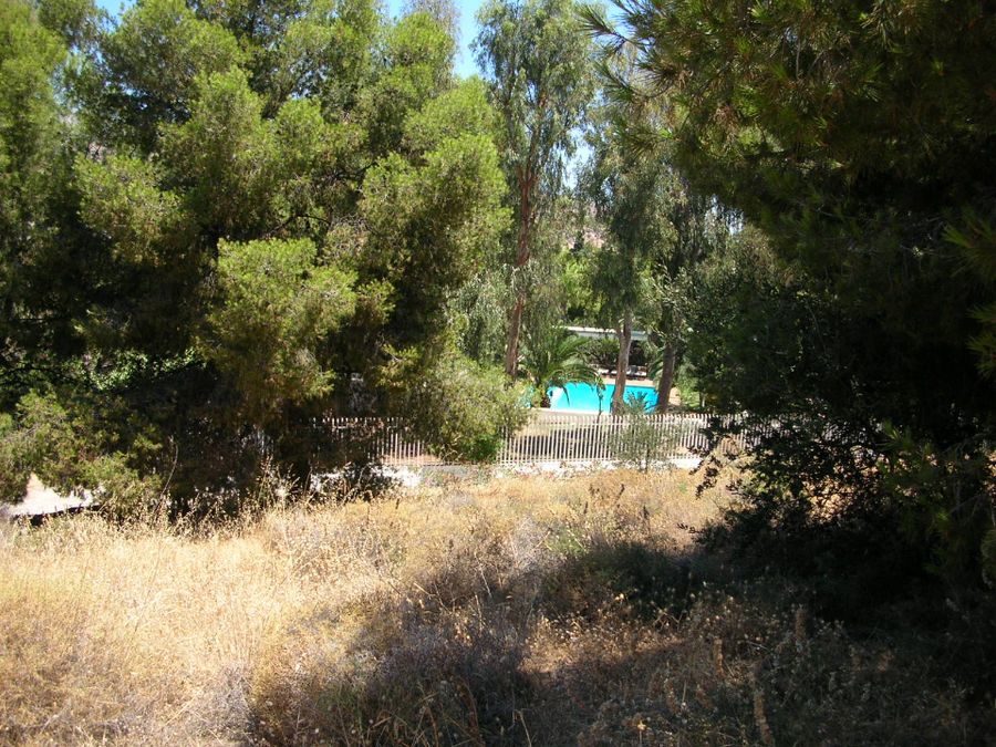 Photo 68327191