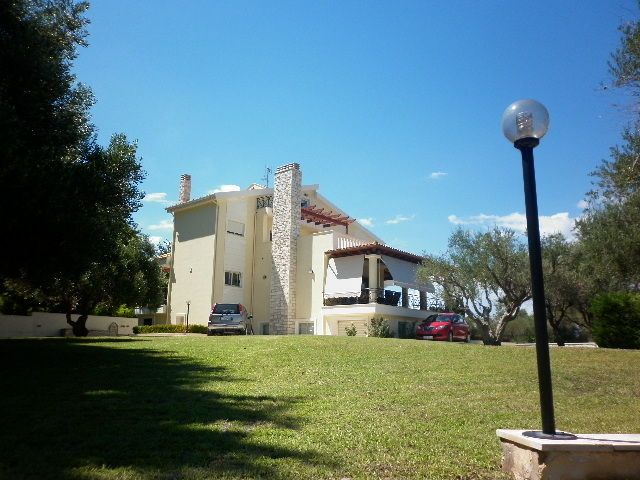 Photo 69628984