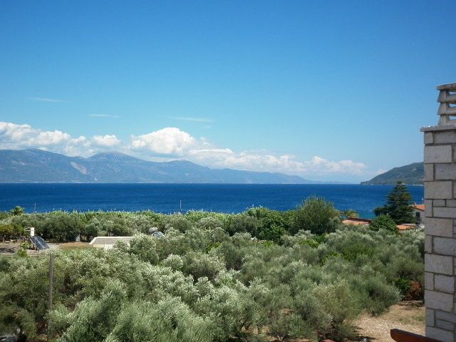 Photo 69635506