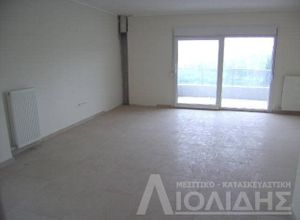 Μεζονέτα, Κέντρο