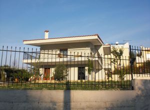 Μονοκατοικία προς πώληση Δήλεσι (Οινόφυτα) 148 τ.μ. 3 Υπνοδωμάτια Νεόδμητο