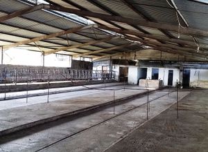 Άλλο επαγγελματικό ακίνητο προς πώληση Λιβαδάρι (Πάργα) 16.000 τ.μ.