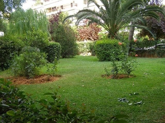 Photo 74850223
