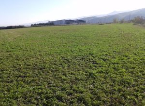 Αγροτεμάχιο προς πώληση Λαγκαδάς 13.500 τ.μ.