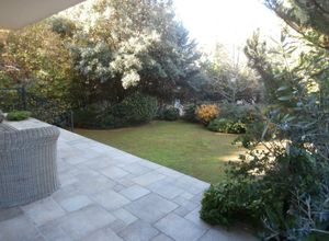 Maisonette, Politeia