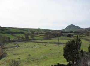 Διαμέρισμα για ενοικίαση Τήνος 75 τ.μ. 1 Υπνοδωμάτιο