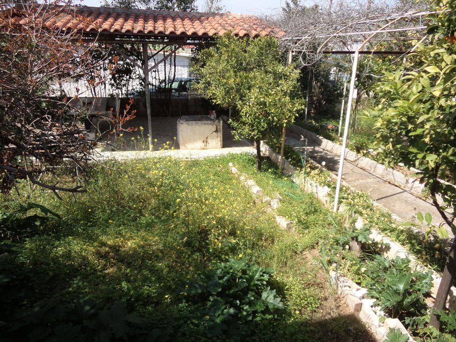 Photo 81612652